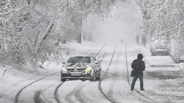 В Подмосковье рассказали о работах по ликвидации последствий ночного снегопада