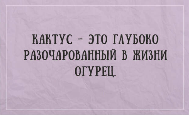 жизненные открытки для отличного настроения