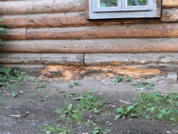 Источник изображения: Яндекс картинки