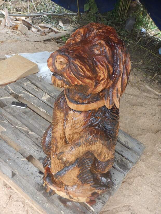 Портрет собаки из дерева - бензопилой Илександр Ивченко, бензопила, своими руками, скульптура, собака