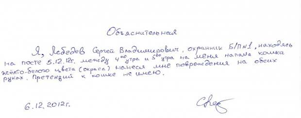 Вот как правильно писать объяснительные Вот как правильно писать объяснительные объяснительные, смешно