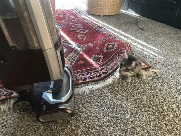 ?