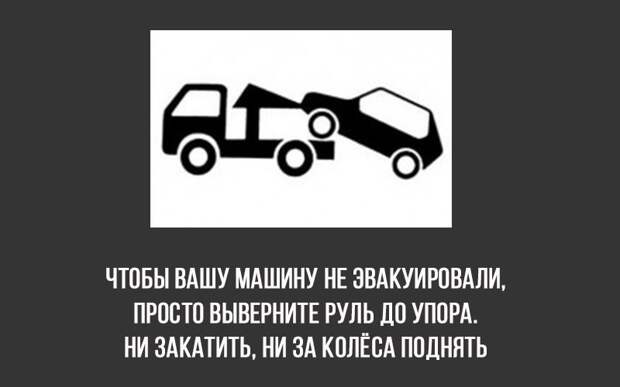 8 интересных фактов 8 интересных фактов полезное, факты