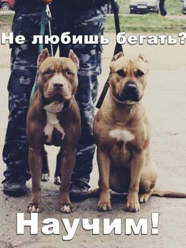 Мысли вслух Мысли вслух