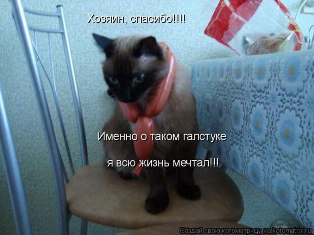 Мысли вслух :)