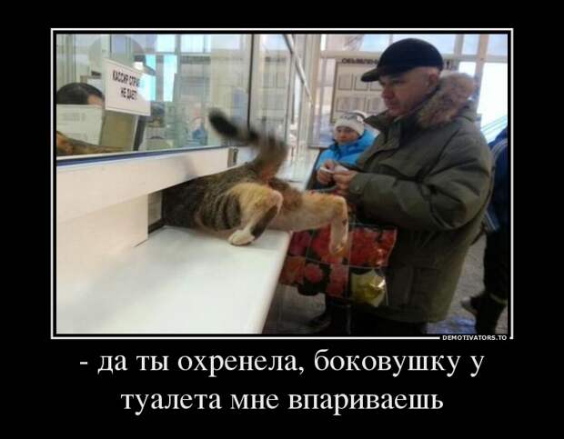 Демотиваторы демотиваторы