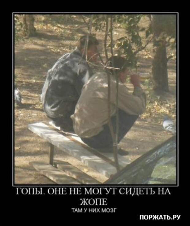 Демотиваторы, не много, но все прикольные!