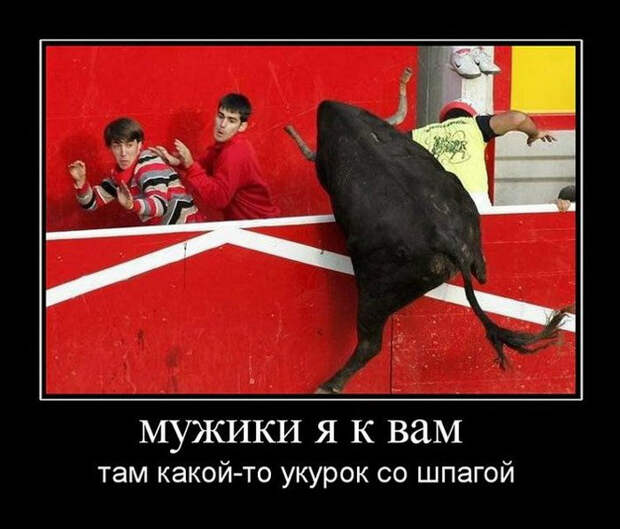 Демотиваторы и мотиваторы. Демотиваторы и веселые картинки_29-05-2013