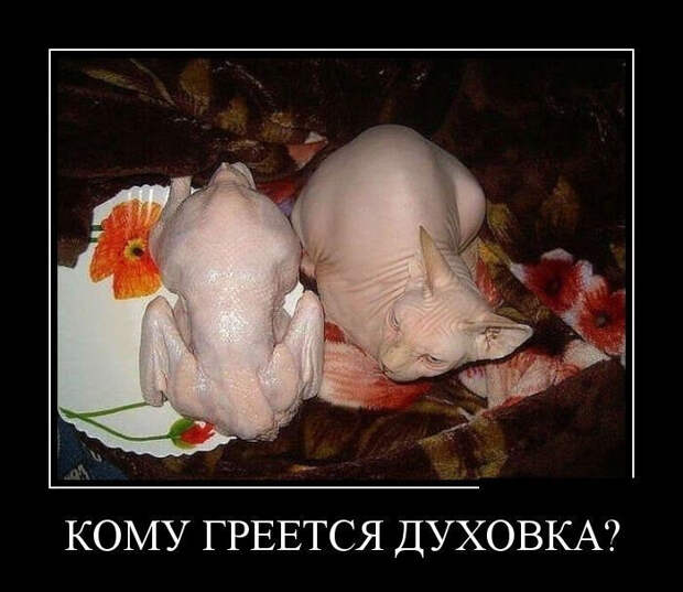 demotiv_003.jpg demotiv_003.jpg