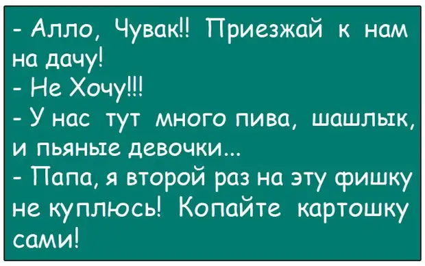 Летит самолет, совершает длительный перелет. В кабине, как и полагается, сидят два пилота...