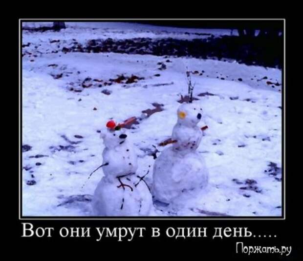 Димативаторы (21 фото)