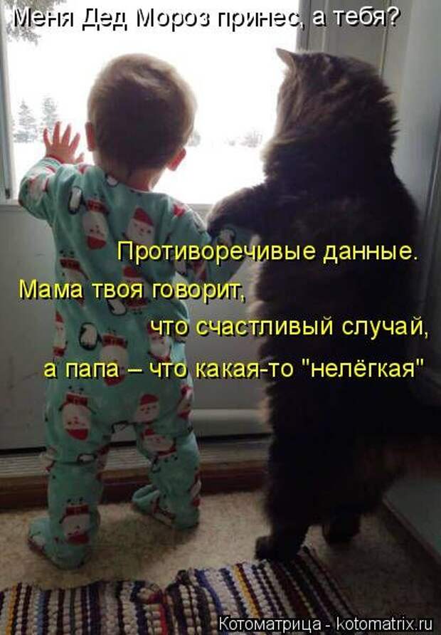 Новая котоматрица для хорошего настроения (32 фото)