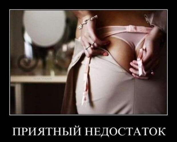 Демотиваторы про котэ и не только.