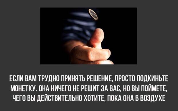 8 интересных фактов 8 интересных фактов полезное, факты