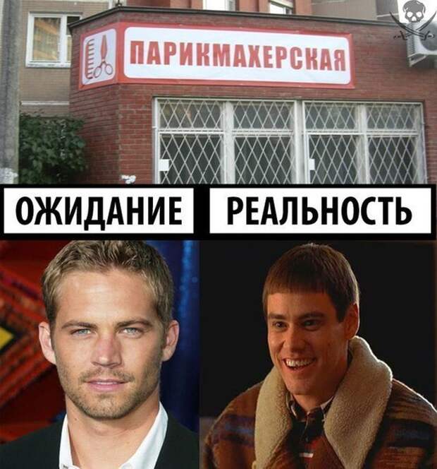 Ожидание и реальность ожидание, реальность, фото, юмор