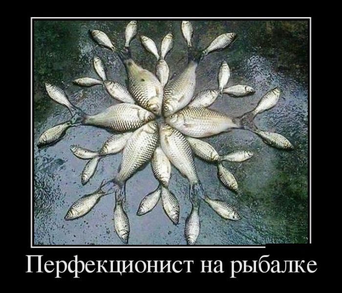 Рай для перфекциониста