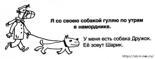 Выдержки из школьных сочинений