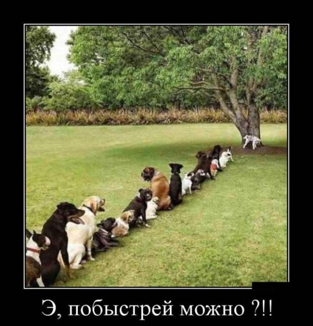 Демотиваторы демотиваторы, юмор