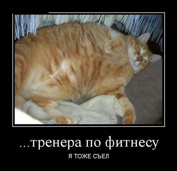 Демотиваторы (30 фото)