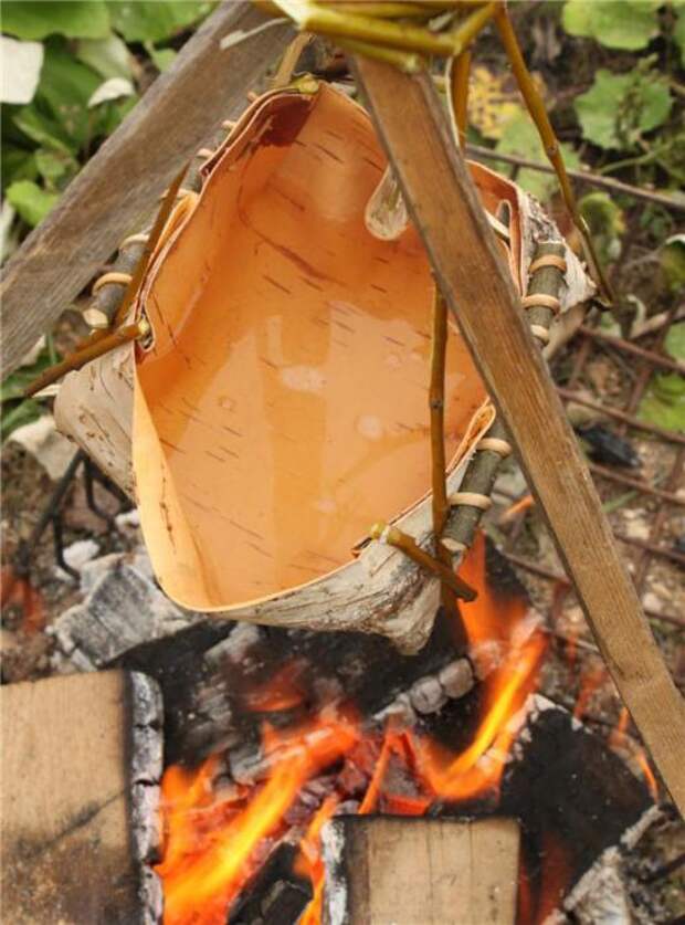 Можно ли вскипятить воду в котелке, сделанном из берёзовой коры? Можно ли вскипятить воду в котелке, сделанном из берёзовой коры? бареза, кора, котелок