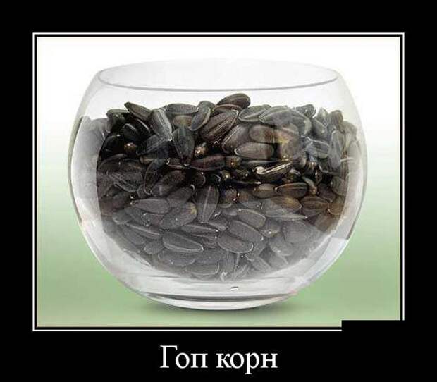 Демотиваторы (30 фото)