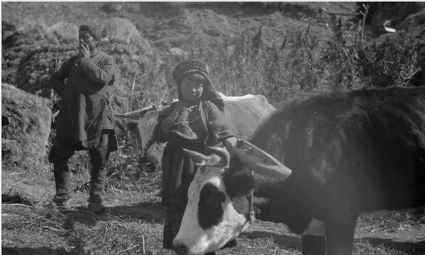 Девочка и мужчина на пастбище в Хевсурети. 1930 год. 