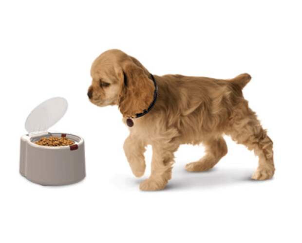 clever-pet-food