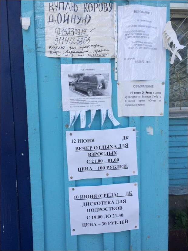 Прикольные надписи и объявления прикол, юмор