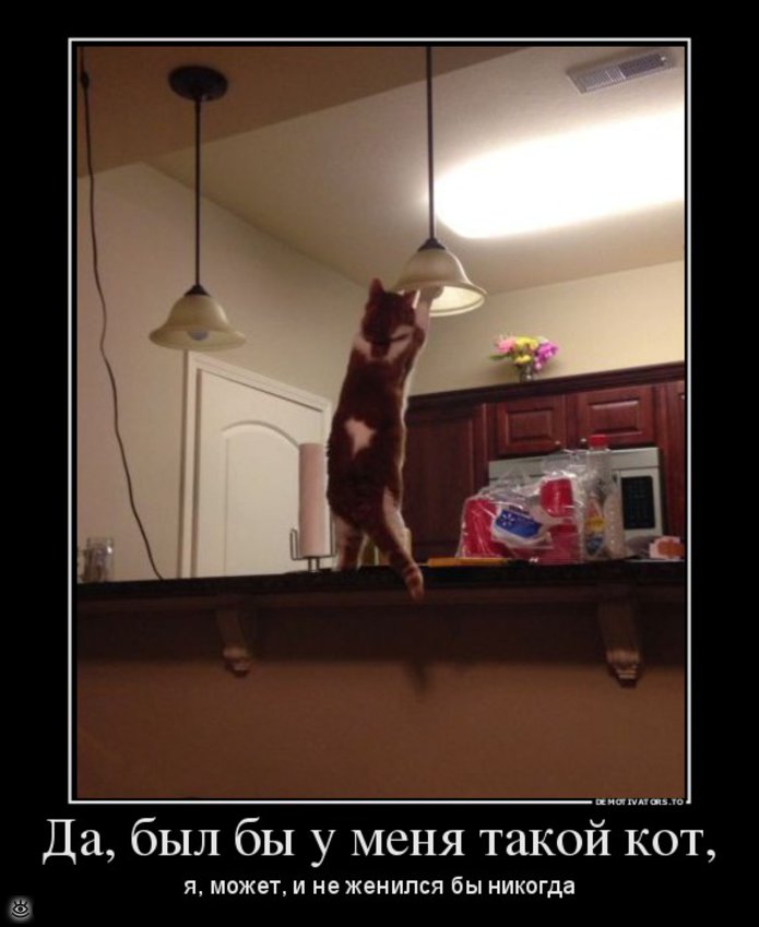 Делите на ноль! 17