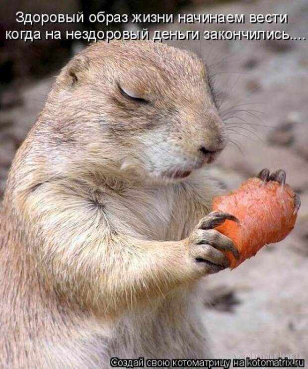 3573123_zdorovii_obraz_jizni (459x550, 68Kb)