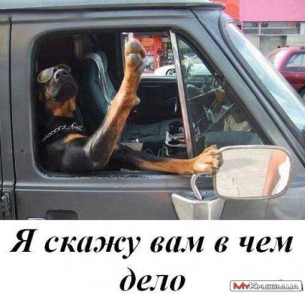 Всё это пятница 13 - е, но она пройдет....