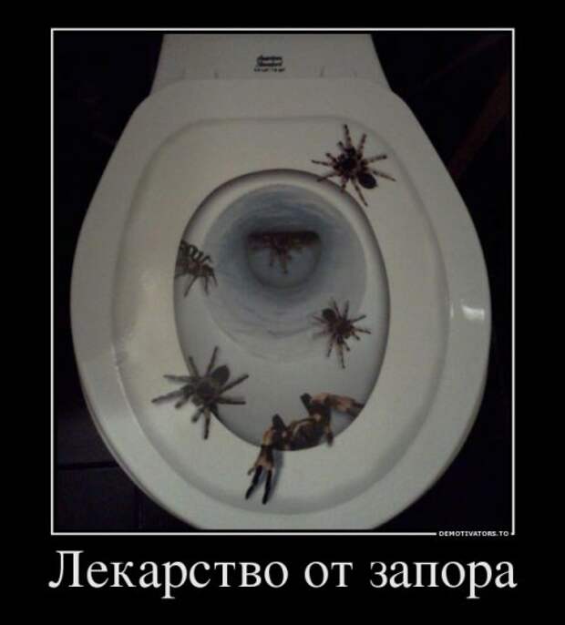 Свежая коллекция демотиваторов (32 шт)