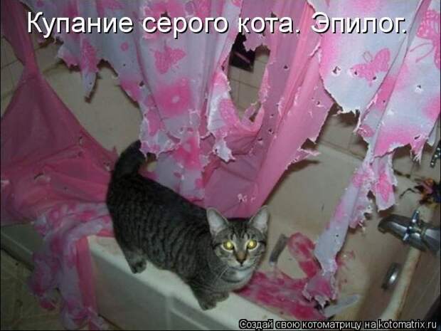 Мысли вслух Мысли вслух