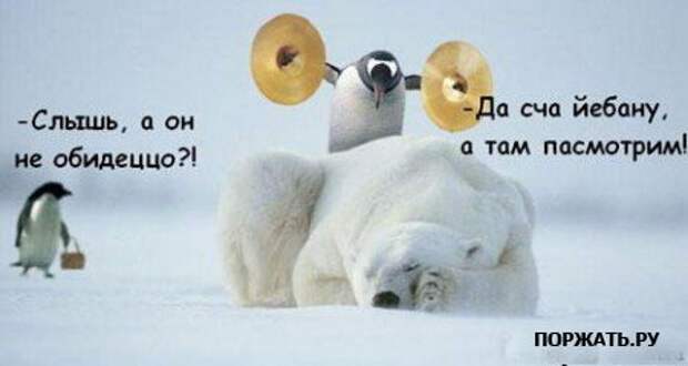 приколы про :)