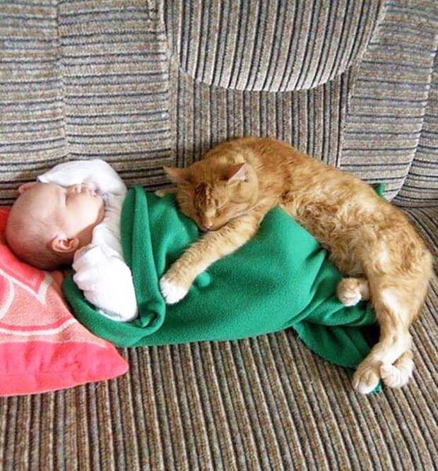 ребенок и кошка