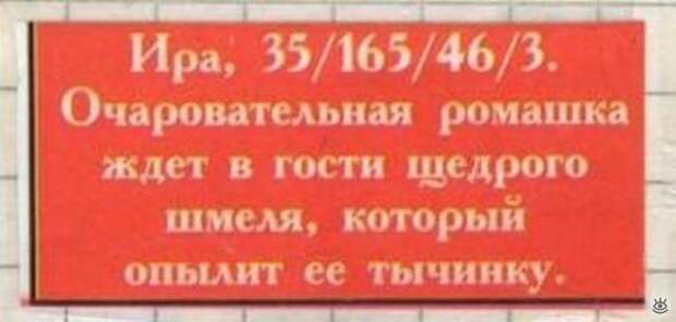Забавные брачные объявления 0