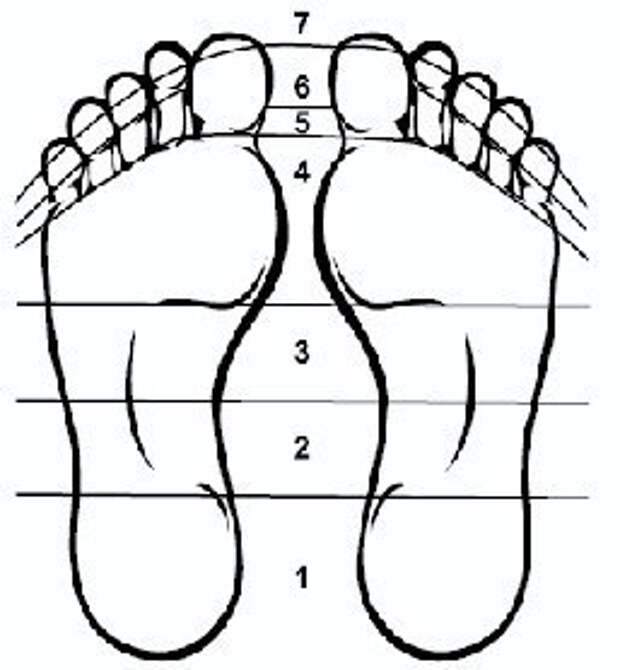 Проекция стопы. Чакры на ступнях. Чакры на стопах ног. Проекции чакр на стопы.