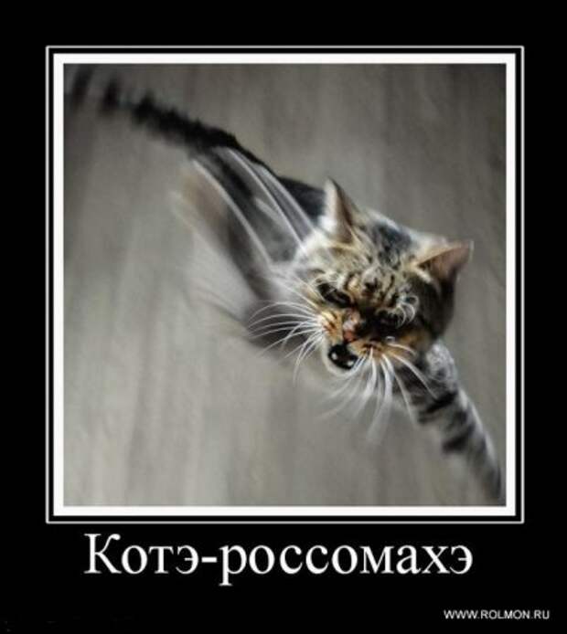 Демотиваторы приколы и позитив во всем будет смешно!