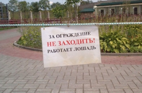 Маразмы месяца копирайтинг, маразм