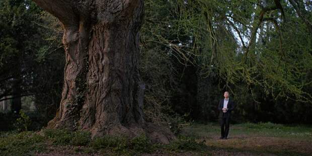 Молчаливый друг (2025) Молчаливый друг (2025)