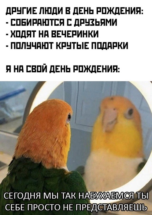 1602839514_podb_01.jpg