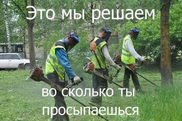 Позитив, юмор, смешные фотографии,прикол