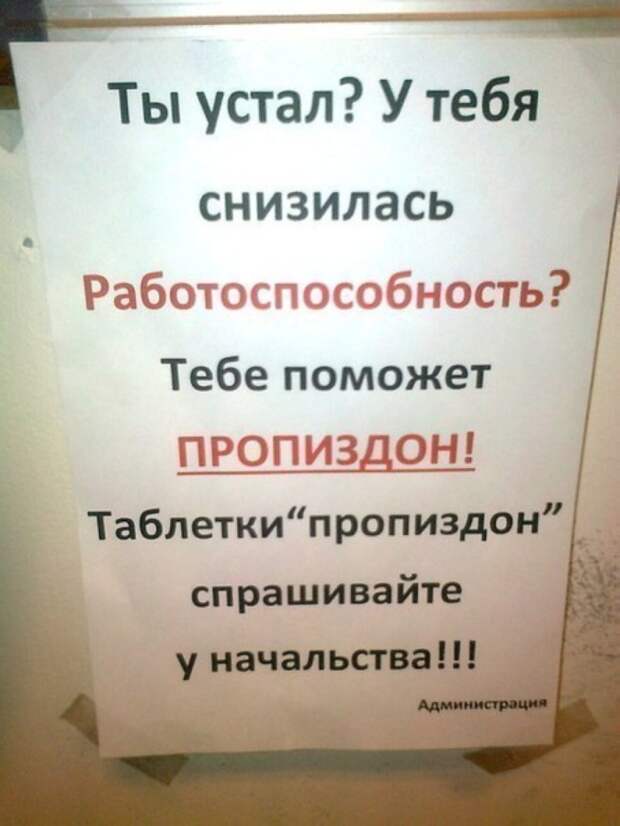 Маразмы месяца маразм, объявление, прикол, юмор