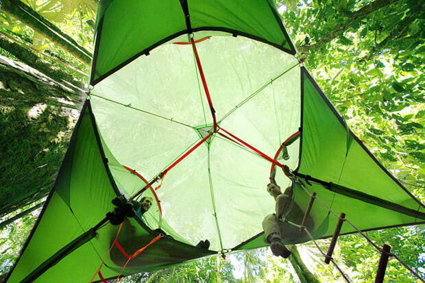 Дом на дереве: многоярусная палатка-гамак Tentsile, палатка-гамак
