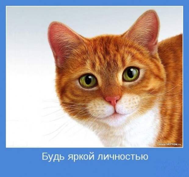 мотиваторы