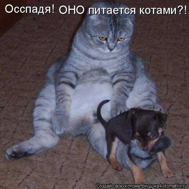 Давайте улыбаться вместе! :) (23улыбоки)