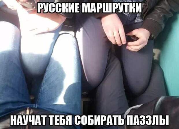 Смешные картинки с подписями катинки, прикол, юмор