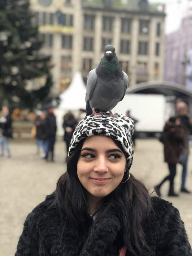 Подборка прикольных картинок