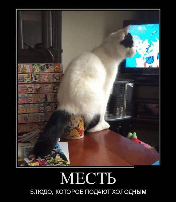 Демотиваторы (30 фото)