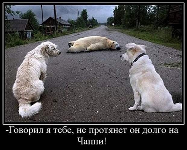 2ff0ae7574dd48bf747ea597140db883